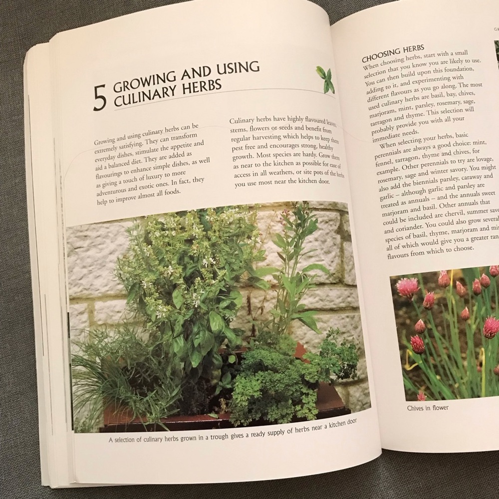Beginners' Guide to Herb Gardening Book - Picture 5 of 8